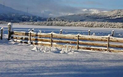 Local Council Discretionary Grants | Highland Council