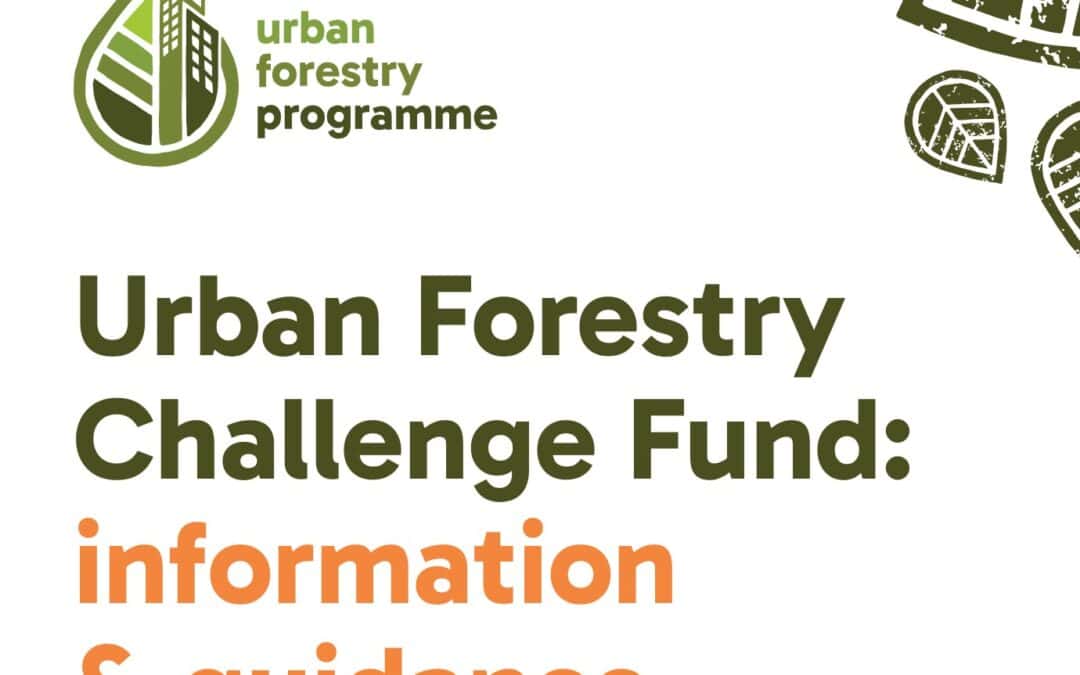 Why We Welcome the Urban Forestry Challenge Fund